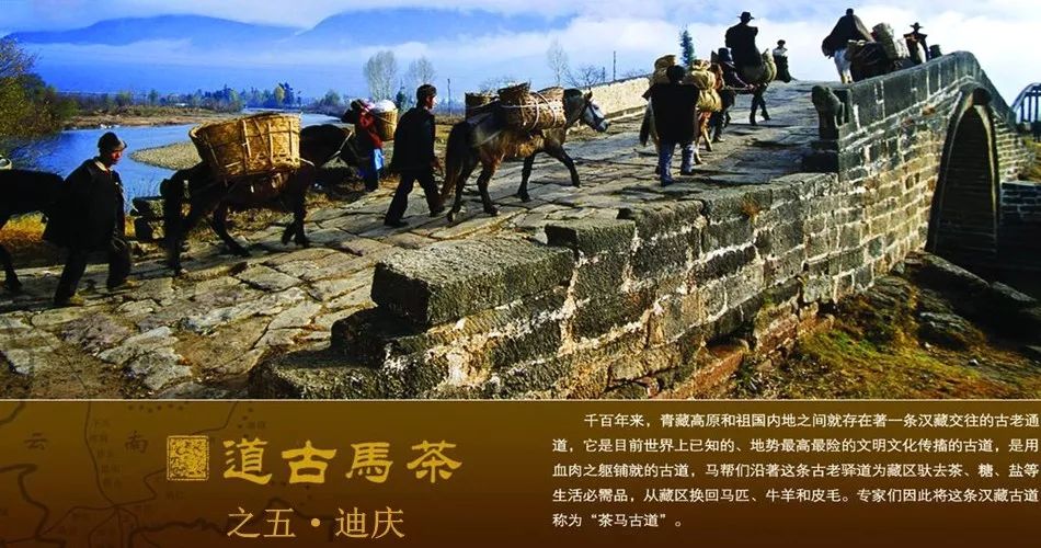 腾博汇游戏官网·(中国)专业服务,诚信为本