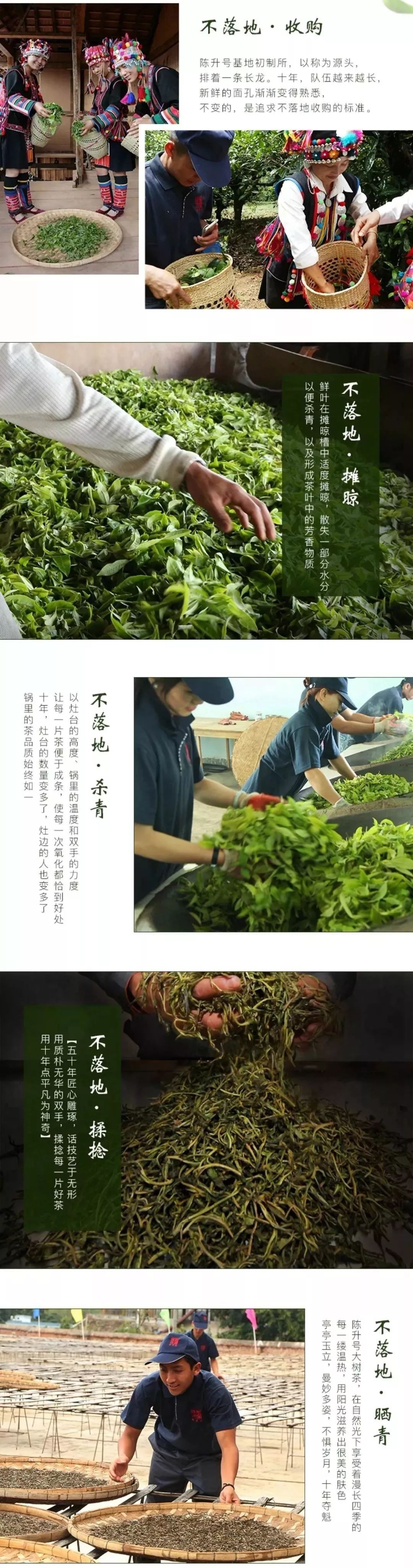 腾博汇游戏官网·(中国)专业服务,诚信为本