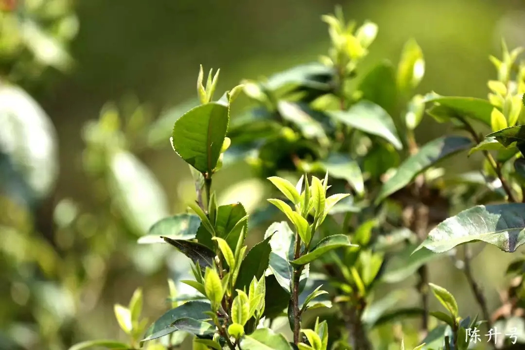 腾博汇游戏官网·(中国)专业服务,诚信为本
