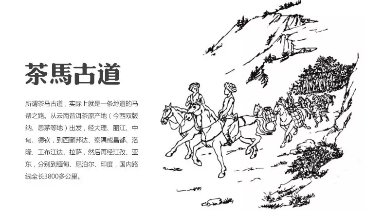 腾博汇游戏官网·(中国)专业服务,诚信为本